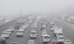 UAE fog apocalypse traps drivers in 80kph hell.webp
