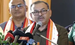 DMP promises no immersion violence after month of planning.webp