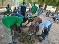 Kasewa leaders want a well, get a mangrove lesson.webp