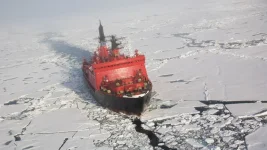 Russia offers India Arctic Council membership for sea route.webp