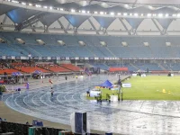 Stray dog attacks Kenyan official at Delhi stadium.webp