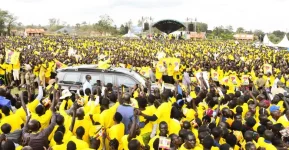 Museveni offers cows for votes in desperate Kwania plea.webp