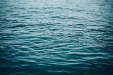 Chinese firm takes Diki's water, has villagers arrested.webp