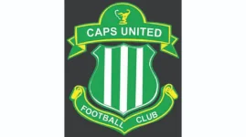 Ngezi coach attacks own player after red card.webp