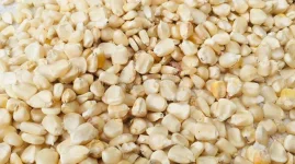 Zimbabwe bans grain imports, millers cry foul.webp