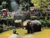 FRIM marks 40 years as Malaysia gets 6th Unesco site.webp