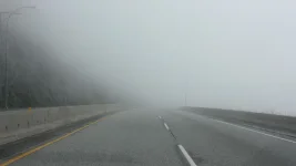 St. Petersburg fog traps drivers in deadly haze.webp