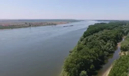 Danube River dries up as Lom turns to desert.webp