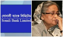 Fugitive Hasina's RAJUK land grab detailed by bankers.webp