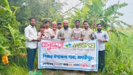 Plant palm trees, Bashundhara Shuvosangho members in Shibchar, Madaripur, demand.webp