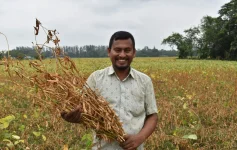 HSBC backs climate-resilient soybean farming in coastal Bangladesh.webp