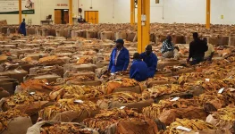 TIMB makes a killing with its record tobacco harvest.webp