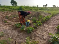 Toroba women beg ActionAid as EU garden project fails.webp