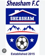 Sheasham quits ZIFA league after officiating row.webp