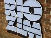 High Court bars RioZim asset sale as workers fight wages.webp