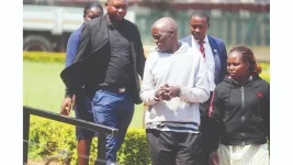 Harare maid, gardener face theft charges after stealing $35,000.webp