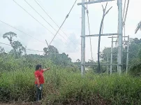 Police hunt vandals after failed cable theft in Pakan.webp