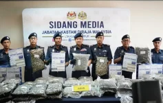 Customs seize over 1,000 kg of cannabis, arrest five suspects.webp