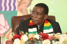 Expert Madhuku derides ZANU PF's Mnangagwa plot.webp