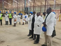 Zimbabwe ramps up fertiliser distribution for summer crops.webp