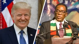 Bannon, Mnangagwa spark global debate on term limits.webp