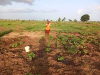 Toroba and Njie Kunda celebrate a new vegetable garden for women farmers.webp