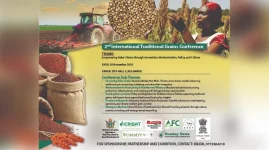 Sorghum and millet seed project boosts Chiredzi farmers.webp