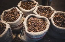 Uganda's coffee, cocoa exports fuel trade surplus growth.webp