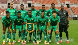 Michael Nees junked, ZIFA begs for UEFA Pro.webp