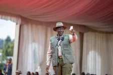 Ruto lifts logging ban, fuels forest fury.webp