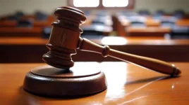 War vets jailed after anti-Mnangagwa protest plot.webp