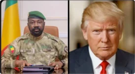 US removes Mali from visa bond list after standoff.webp