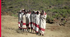 New rules tighten grip on deadly initiations.webp