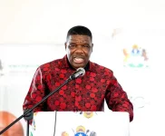 KZN MEC warns G20 on AI threat to artists.webp