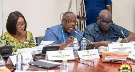 PAC orders prosecution over ECG overspend.webp
