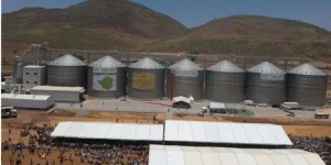 Mnangagwa touts AI silos in Mutare.webp