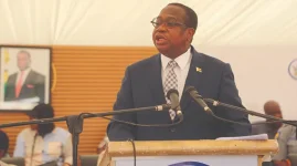 Ncube claims NDS1 success, firms balk.webp