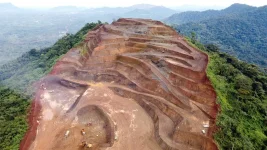 Boakai ousts mining chiefs in power shakeup.webp