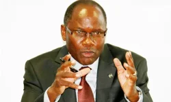 Namibia reels as 542 lives are lost to despair.webp