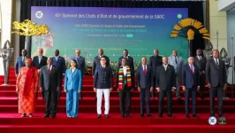 SA grabs SADC reins after Madagascar coup.webp
