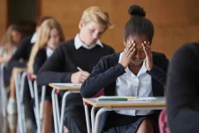Cabinet hails exams, bullying crisis ignored.webp