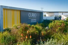 Curro sells out to a billionaire, JSE dumped.webp
