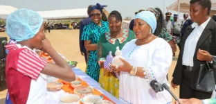 Mnangagwa tells parents to whip kids for discipline.webp