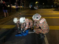 Firefighters rescue an injured 1.5m crocodile on Miri road.webp