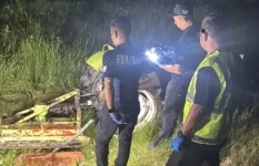 Man dies after falling from tractor in Baling orchard.webp