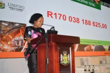 Saudi R9.5bn smelter deal steals Limpopo summit.webp