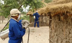 Malaria workers go unpaid, forced to spray hungry.webp