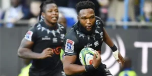 Sharks lose Am to Japan as fans left reeling.webp