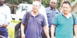 Chinese national convicted of rhino horn smuggling faces 9 years in prison.webp