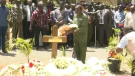 Kalonzo leads symbolic cattle tribute at Raila Odinga’s home.webp
